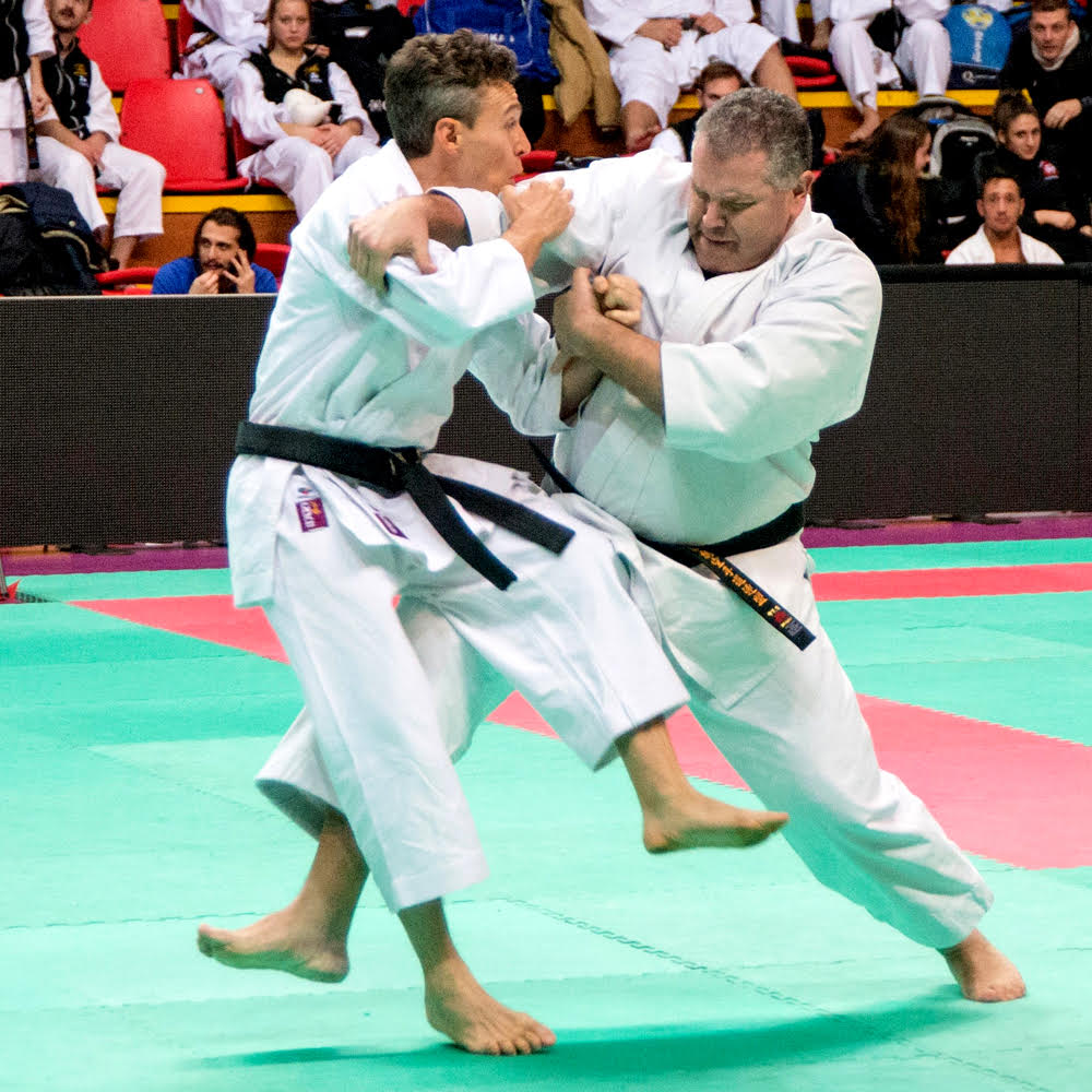 Posa Karate 1