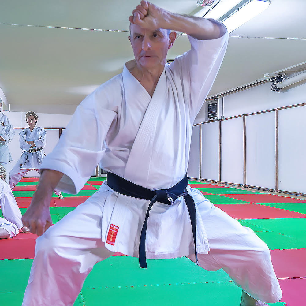 Posa Karate 2