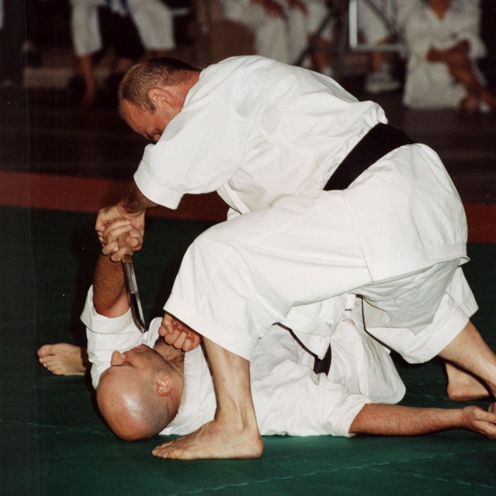 Posa Karate 3