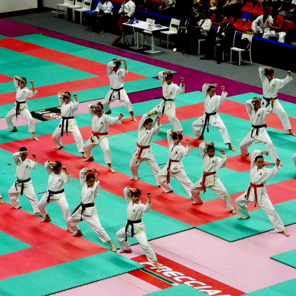 Posa Karate 4