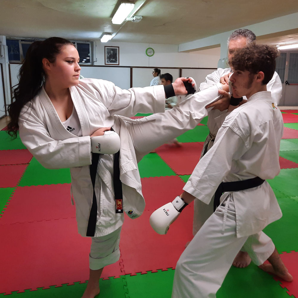 Posa Karate 5
